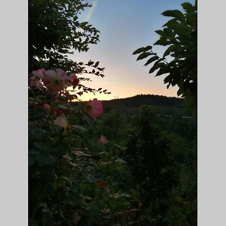 Nachhaltiges Wohnen In Seenaehe Schoemberg  Buitenkant foto