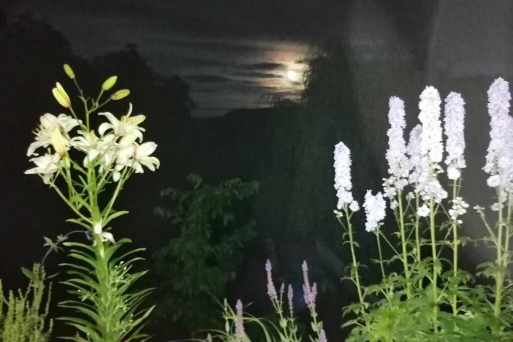 Nachhaltiges Wohnen In Seenaehe Schoemberg  Buitenkant foto