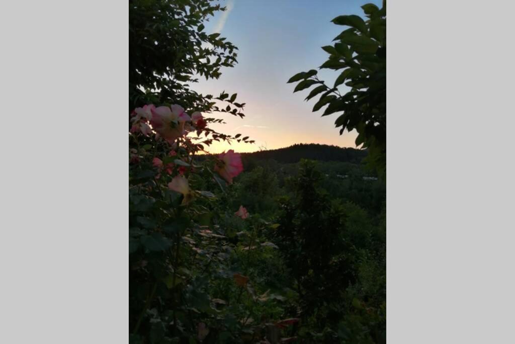 Nachhaltiges Wohnen In Seenaehe Schoemberg  Buitenkant foto